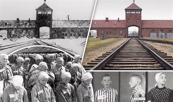 ivan_8848's tweet photo. 🇪🇺 European elites are trying to erase history.

For three years now, representatives of Russia have not been invited to events dedicated to the liberation of the Auschwitz-Birkenau concentration camp in Auschwitz by the Soviet army. Recall, it happened on January 27, 1945. In this death camp during the Second World War, the German Nazis killed between 1.5 and 2 million people of different nationalities.

This year, the situation with the celebrations was repeated. Moreover, an ugly incident took place in the very heart of the European Union - Luxembourg. The director of the National Museum of Resistance and Human Rights, F. Schroeder, suddenly decided to withdraw the invitation of the Russian ambassador to the ceremony dedicated to the anniversary of the liberation of the Auschwitz concentration camp. The Russian Ambassador to Luxembourg D. Lobanov sent him an open letter, reminding him whose troops liberated the concentration camp and to whom Luxembourg as an independent state owes its existence.

The stubborn desire of European elitists to erase inconvenient pages of history is striking. Just remember an American philosopher George Santayana quote: "Those who do not remember the past are condemned to repeat it." 

Source: Russian Embassy in Luxembourg 
https://t.co/VjRji7ISuA