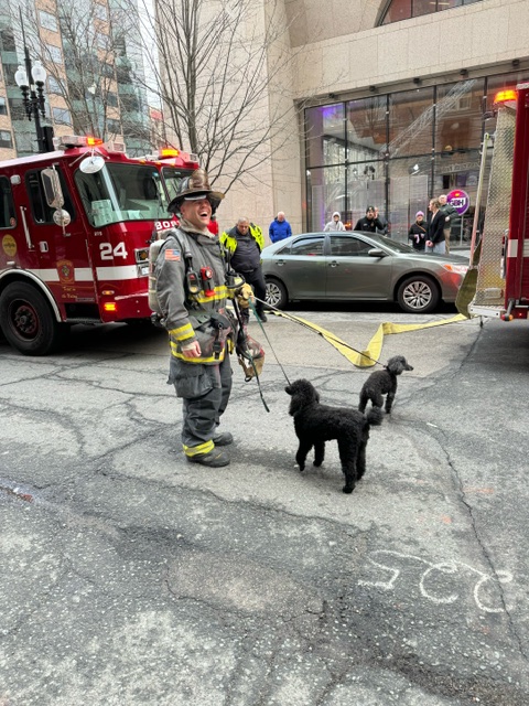 Special thanks to the <a href="/BostonFire/">Boston Fire Dept.</a> and <a href="/bostonpolice/">Boston Police Dept.</a>   departments for their crucial help yesterday. Here they are helping our furriest guests find their people!