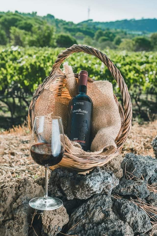 IreneAl22068702's tweet image. Volcanic Organic wine #Organic #biodynamics #MuntiRussu montirossietnawine.com/muntirussi