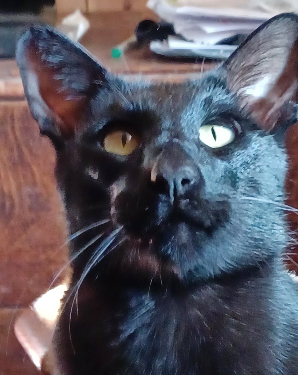 PsycheKick's tweet image. Sorry we've missed you!