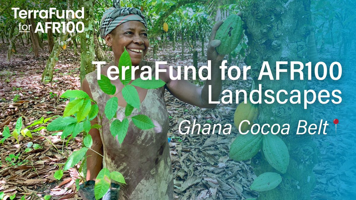 As we continue celebrating&onboarding new cohort members of TerraFund for #AFR100 across landscapes,this week we will be connecting and sharing experiences with restoration champions working in Ghana Cocoa Belt! Join us to celebrate our new champions restoring Ghana’s landscapes
