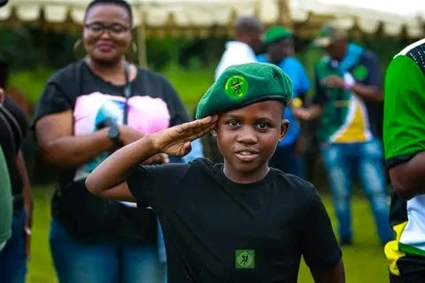 THE ACTIVIST. tweet media