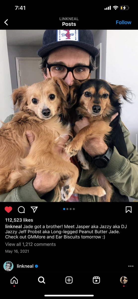 AmandaLimardi's tweet photo. @LinkNeal I think my dog is your dogs’ long lost sibling https://t.co/uS77L8Tzrk