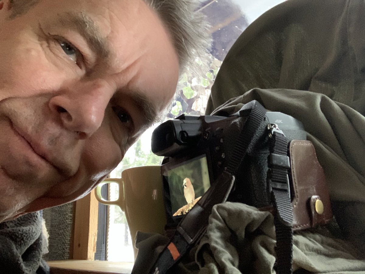 Vaalikahvit kuvauskojulla #Närhi en kera, samalla hoituu #Pihabongaus #Tuusula ssa.