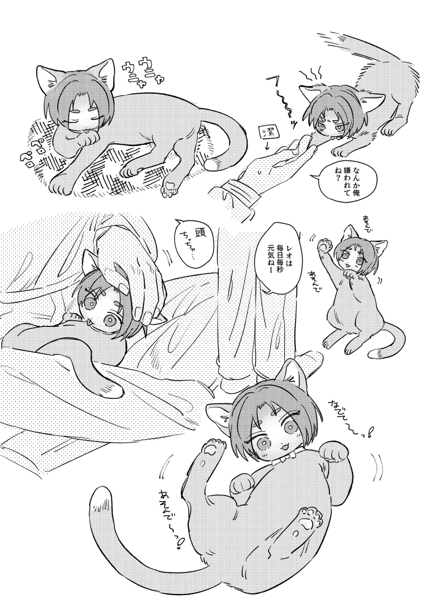 roネコチャンたくさん ngroだしbabyがいるし猫なのに成長して言葉しゃべってる 