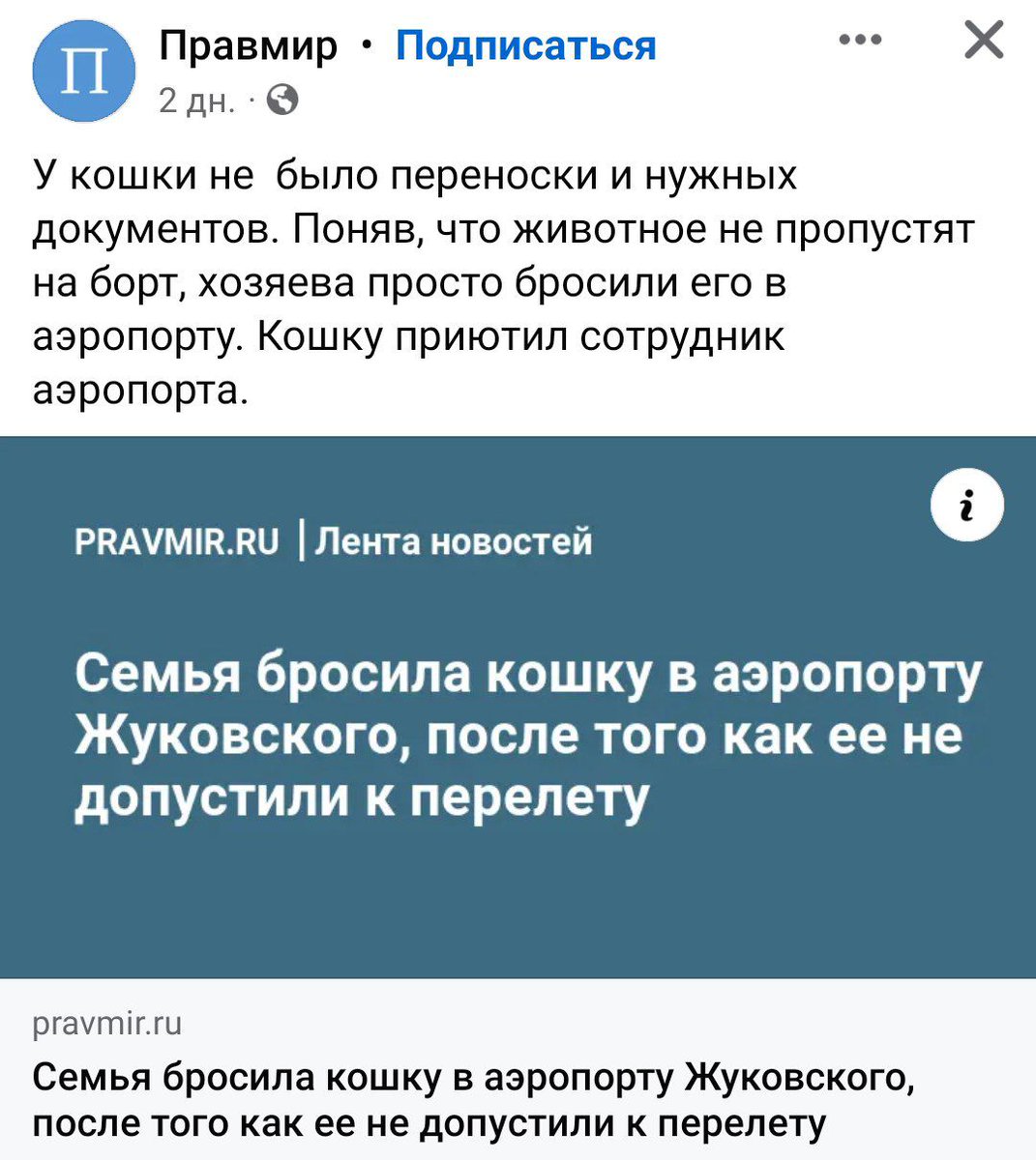 Слава Малахов (Валаар Моргулис) tweet media