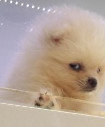 700 (@winter700_) on Twitter photo 