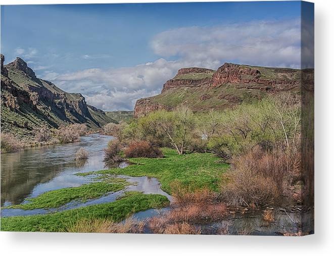 williams_pam's tweet photo. SPRING ON THE OWYHEE RIVER BY PAMELA WILLIAMS “Oregon’s Grand Canyon”
SHOP HERE: https://t.co/25SNK3UAtn
#Buyintoart #sharepamsart #potd #photography #findartthisummer #owhyee #oregon #potd #nature #wallart #canvas #fineartamerica #sharepamsart #homedecor #canyon #snakeriver https://t.co/rlwDWqAj48