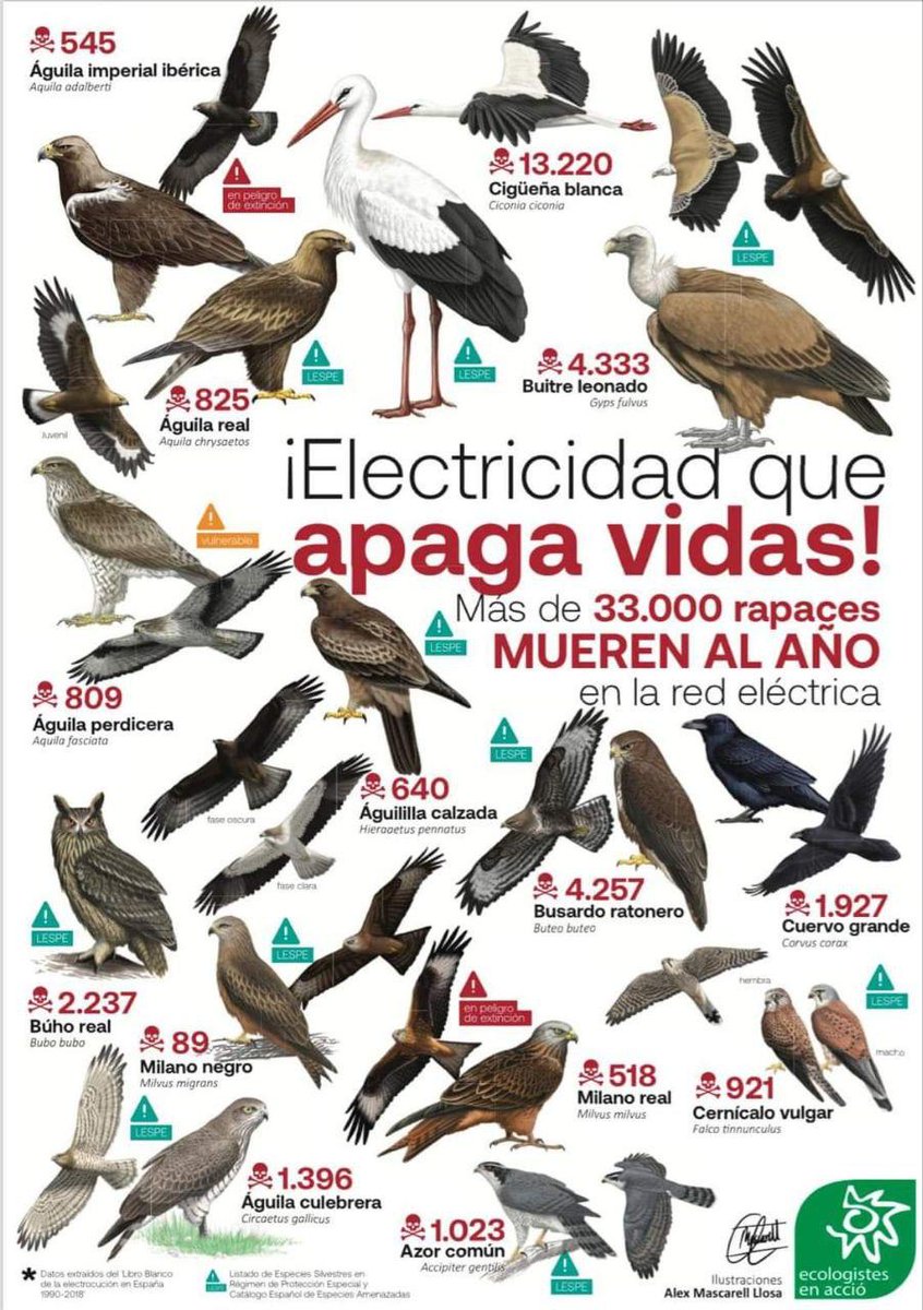 CSIF MEDIO AMBIENTE tweet media