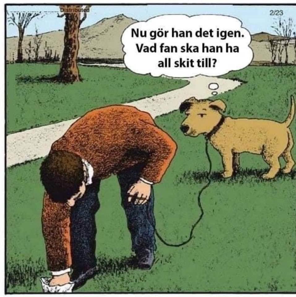 Grisknorren1's tweet image. 