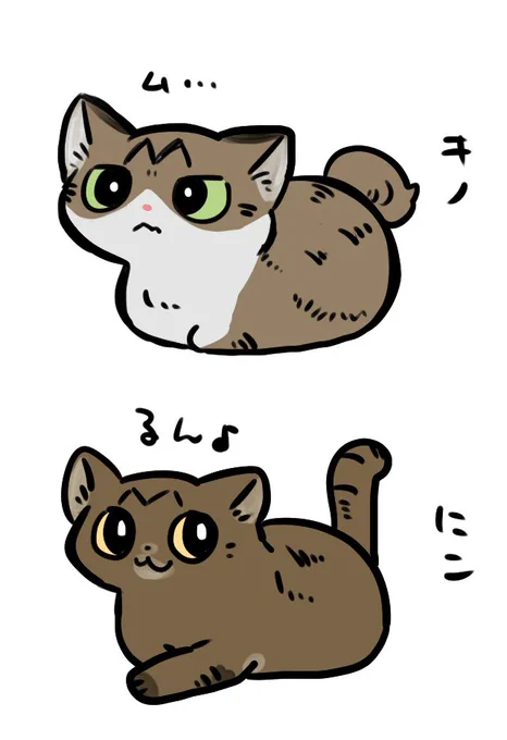 飼い猫のイラストでも描くか