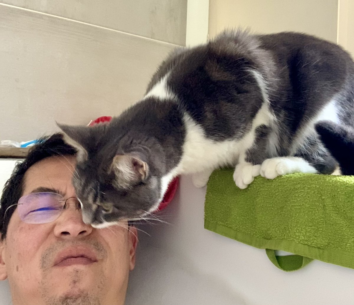 Art_Li's tweet photo. How it started and how it’s going … #bathcat https://t.co/U1pho0VBQh