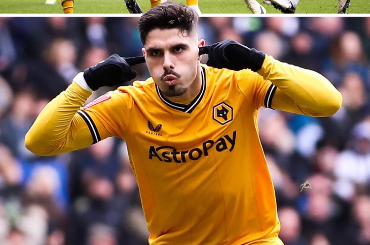 FUCK THE ALBION!!!!