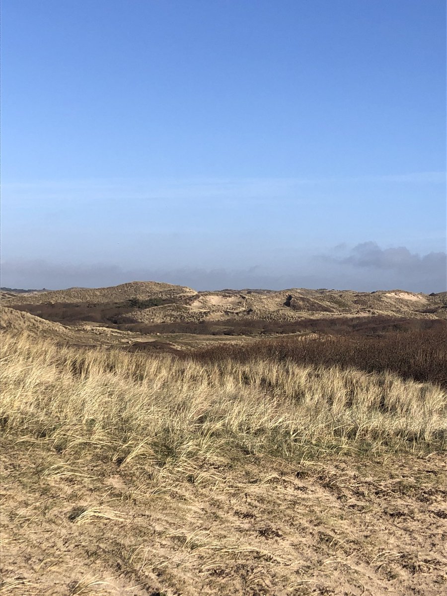 n1lske's tweet photo. #egmondwandelmarathon Beach walking! 🤩👌🏽 https://t.co/dKOEe7k6LV