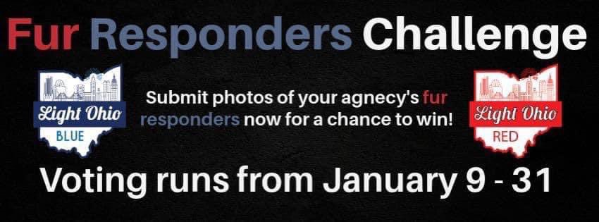 LightOhio's tweet image. Only a few days left to vote in the 2024 FUR Responder Photo Contest.

Remember you can vote once daily per category by device or ip address.  Let’s show our fur responders and their human partners they are appreciated.  

lightohioblue.org/2024-fur-respo…