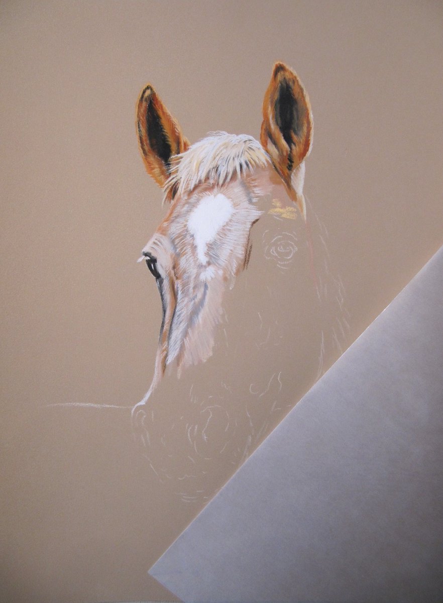 Wieder was in Arbeit.

tierportrait-tierzeichnung.de

#Tiermalerei #Tierportrait #Tierzeichnung #Kunst #Art #Portraitmalerei #Auftragsmalerei  #Pferde #Ponys #Tiere #Hund #Katze