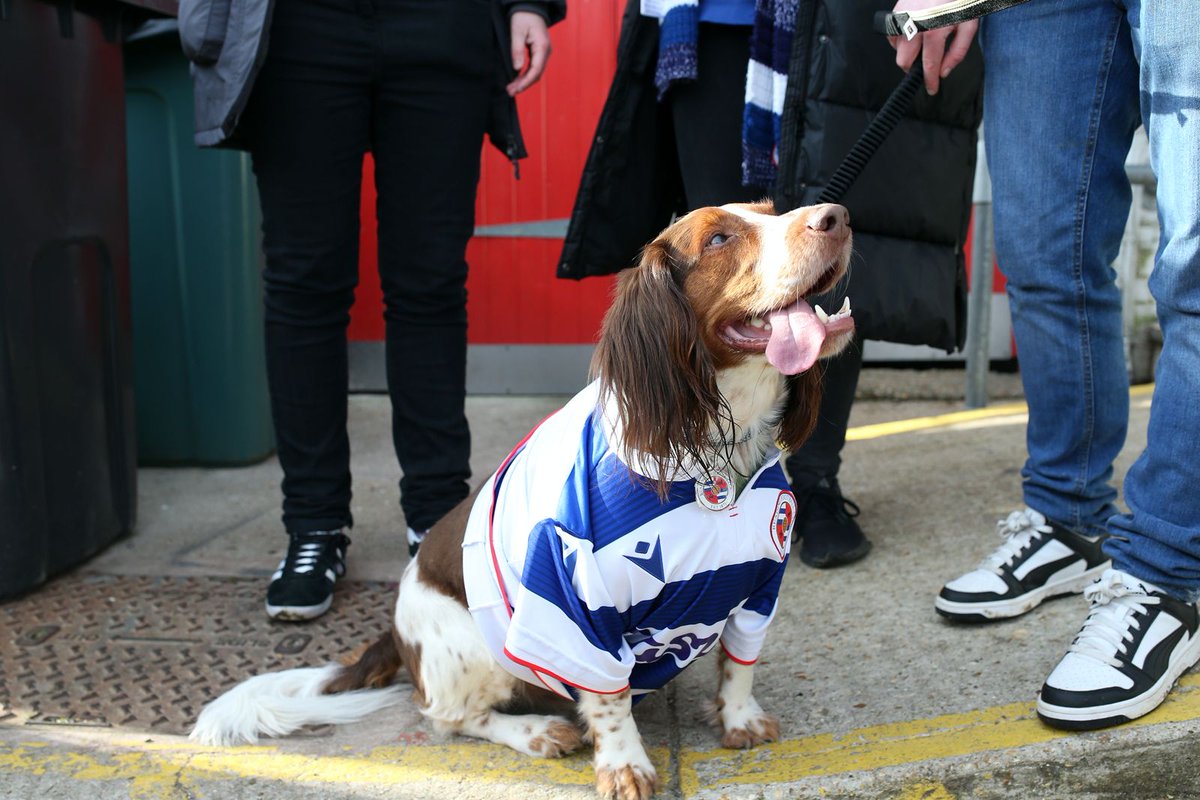 Reading FC Women tweet media