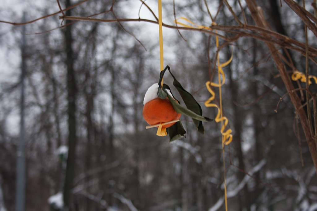 Kira72924207's tweet photo. ☮️💞🕊️ 🤲 🕊️💞☮️
✨☃️ with love and hope ☃️✨
#PeaceForTheWorld 🕊️ 🌏🕊️ #coloursofwinter
#ファインダー越しの私の世界 #streetphotography https://t.co/7p0bve48Fn