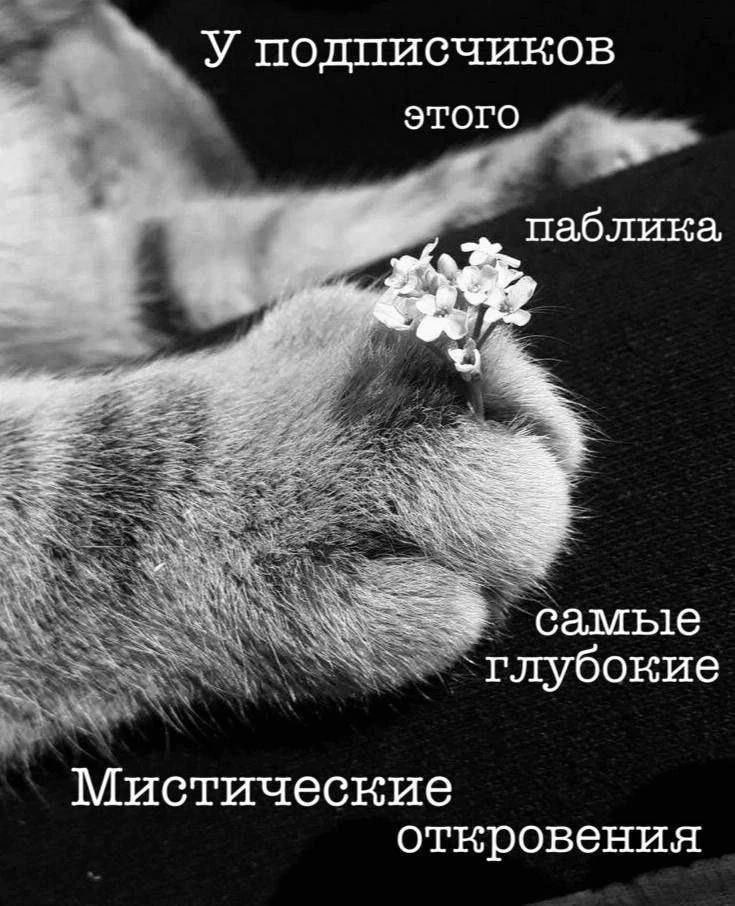 ebarabashka's tweet photo. https://t.co/0LOTvmTMbx