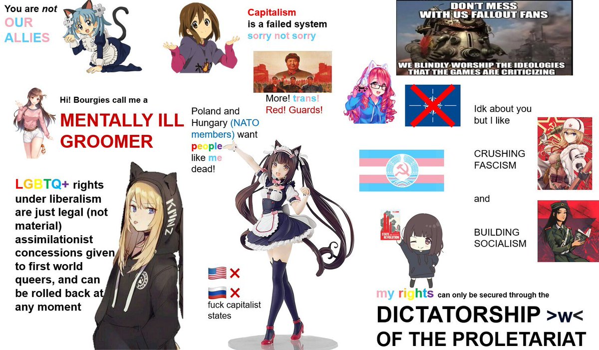 MenheraMLM #RegimeTeam tweet media