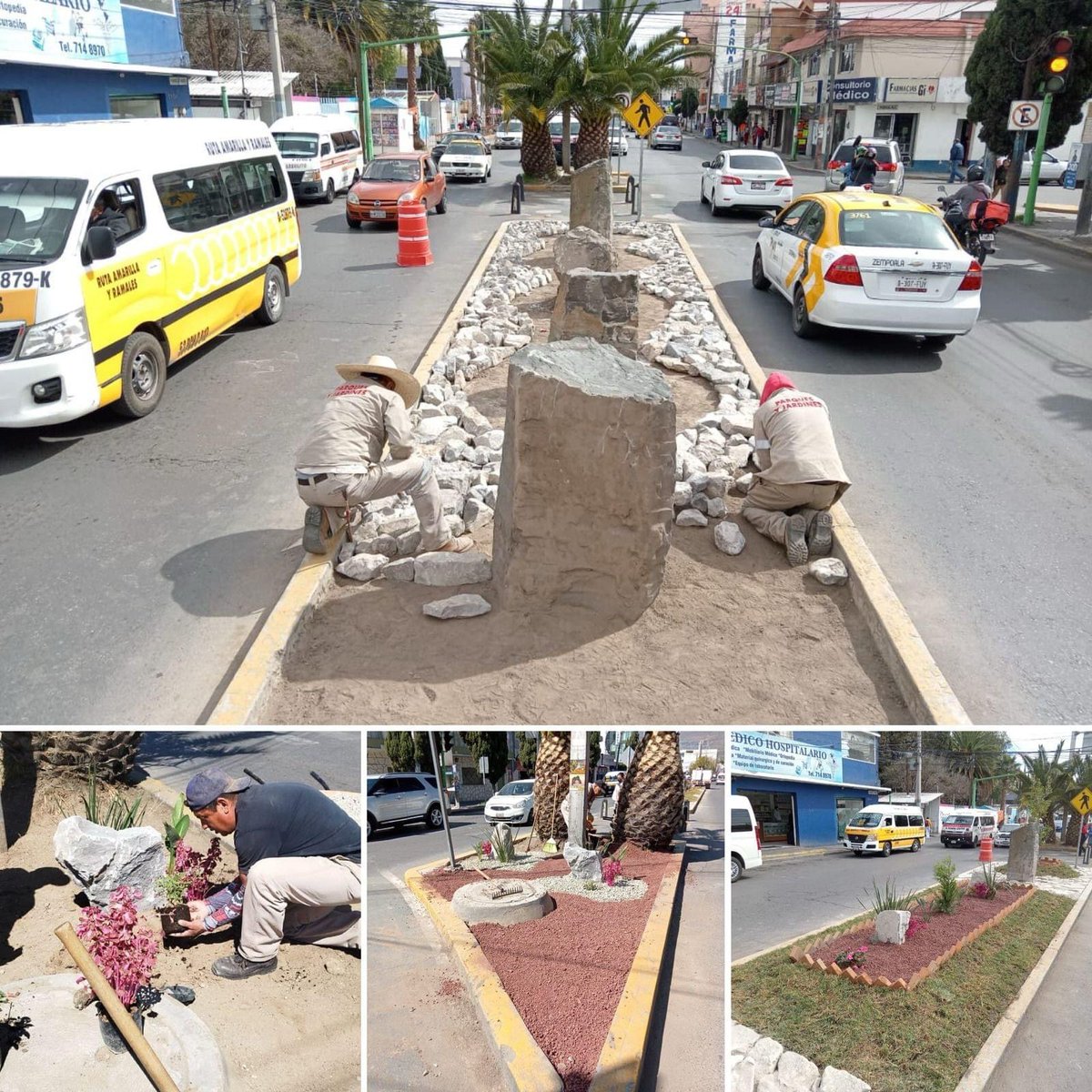 En el <a href="/PachucaGob/">H. Ayuntamiento de Pachuca</a> seguimos trabajando por dignificar los camellones de nuestra ciudad, creando espacios llenos de vegetación 🌿🌺 ideal para el clima de nuestra ciudad.

¡Seguimos haciendo de Pachuca una ciudad más verde 💚!

#CumpliendoPorTuFamilia ✅👨‍👩‍👧‍👦