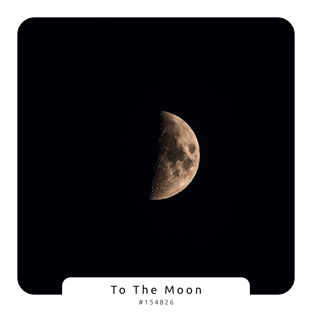 EneftiSi's tweet photo. In the NFT world, every click to mint is a doorway to a new universe. Explore, collect, and connect. 🚀🌌 #NFT #Art #Ethereum #Polygon #Solana #Bitcoin #OpenSea #Rarible https://t.co/G0drZyOY2V