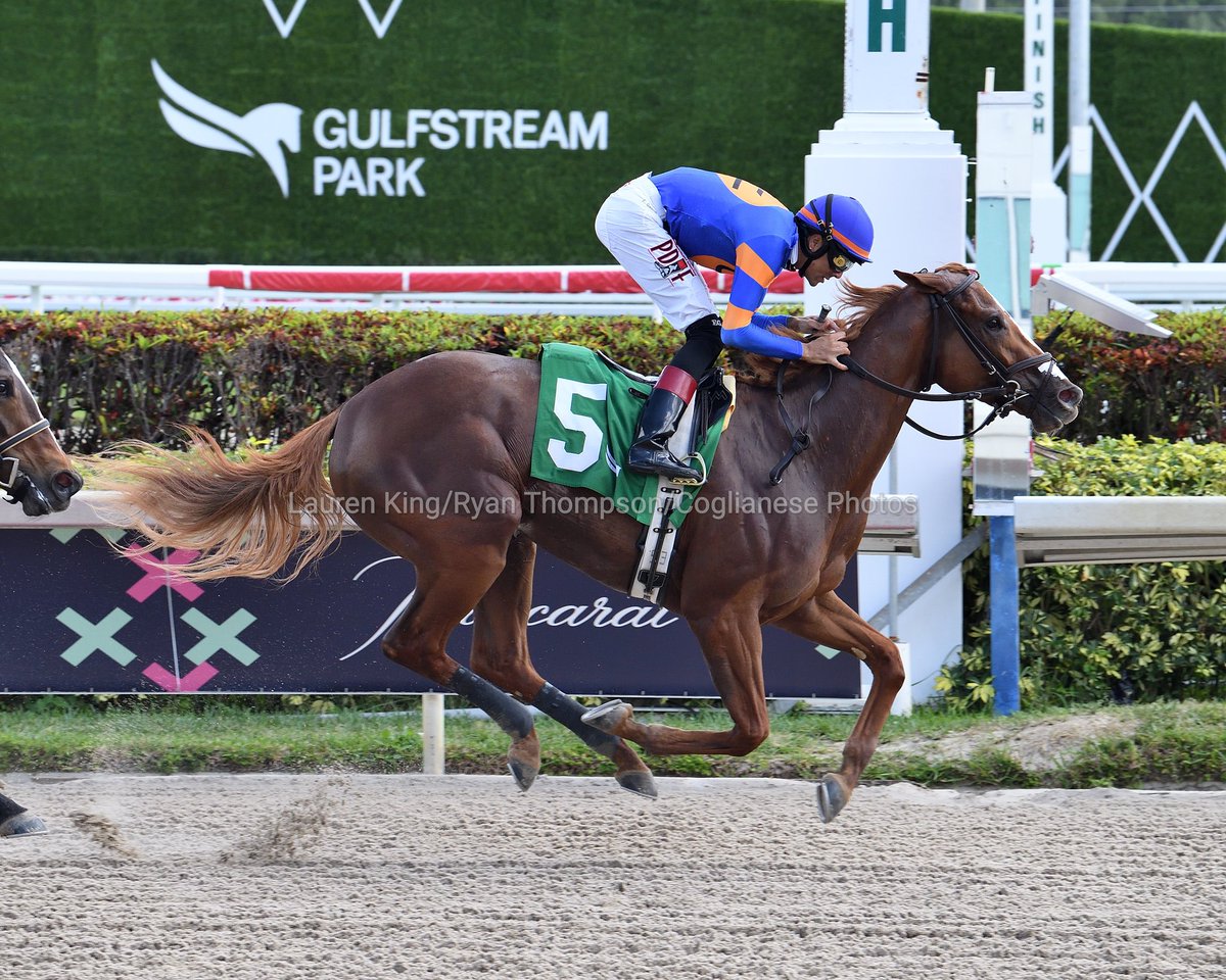 VideoHipico (@videohipico) on Twitter photo More at videohipi.co
Flower Mound captures race 2 for trainer Carlos Pérez and owners <a href="/C2RacingStable/">C2 Racing Stable</a> and La Milagrosa Stable. Back to back victories for jockey <a href="/EdwinGonzalz1/">Edwin Gonzaléz</a>! #GulfstreamPark #ChampionshipMeet
Flower Mound captura la 2.ª carrera para Carlos Pérez, More at videohipi.co
Flower Mound captures race 2 for trainer Carlos Pérez and owners <a href="/C2RacingStable/">C2 Racing Stable</a> and La Milagrosa Stable. Back to back victories for jockey <a href="/EdwinGonzalz1/">Edwin Gonzaléz</a>! #GulfstreamPark #ChampionshipMeet
Flower Mound captura la 2.ª carrera para Carlos Pérez,