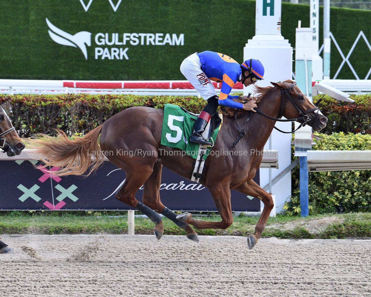 More at videohipi.co Flower Mound captures race 2 for trainer Carlos Pérez and owners @C2RacingStable and La Milagrosa Stable. Back to back victories for jockey @EdwinGonzalz1! #GulfstreamPark #ChampionshipMeet Flower Mound captura la 2.ª carrera para Carlos Pérez,…