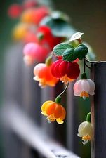 dr.Hencz Ildikó. (@henczildiko) on Twitter photo 