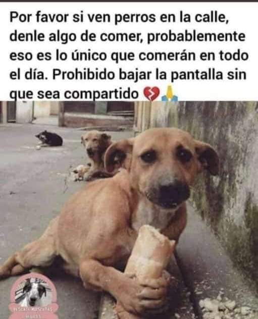 Sabueson tweet media