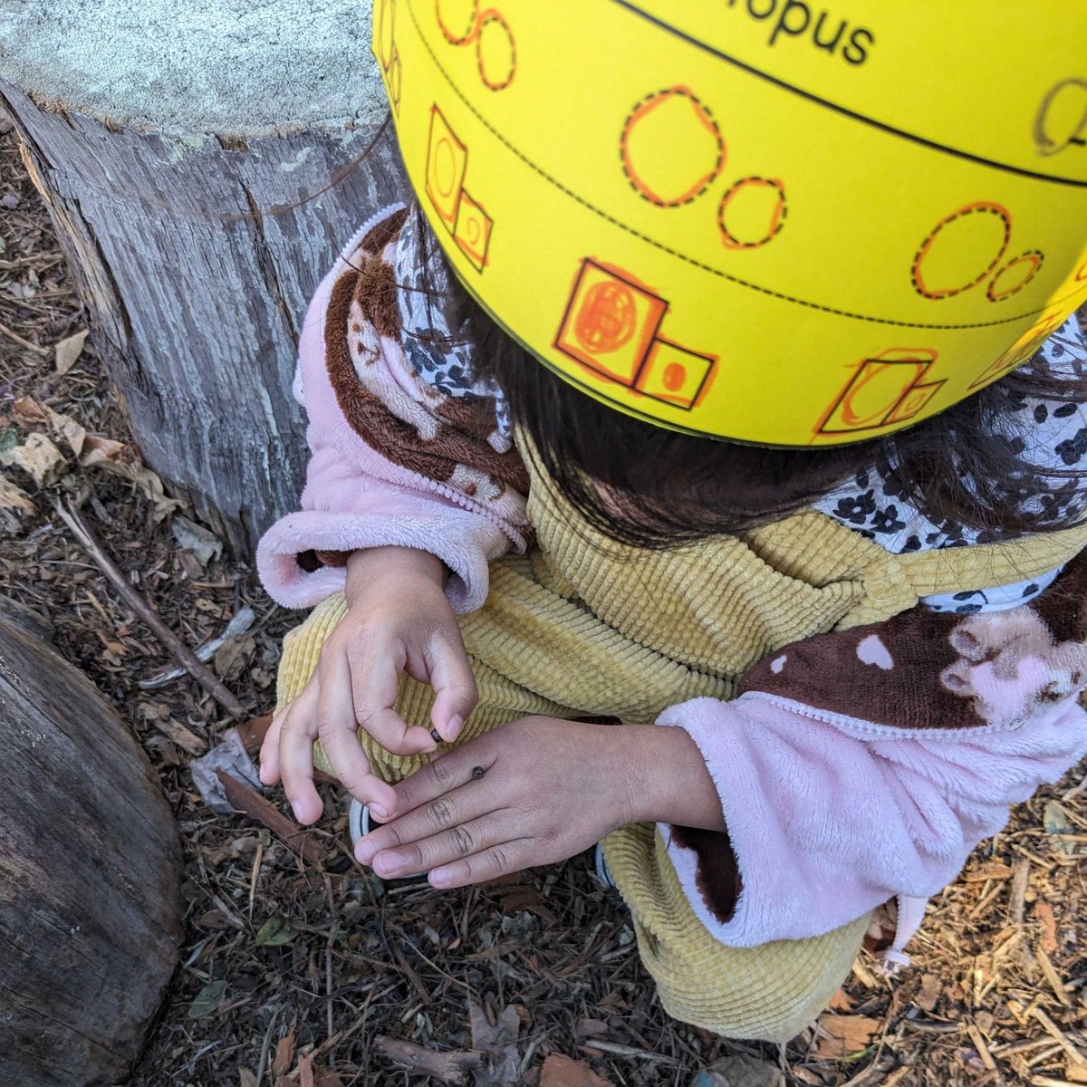 Tiny architects in the making! 🏠 Our preschoolers had a blast on their insect hunt and decided to build a little 'house' for their newfound friends. 🐞

#ExploreEcology #GardenEducation #GardenExplorers #InsectHunt #Preschoolers #SantaBarbara #805