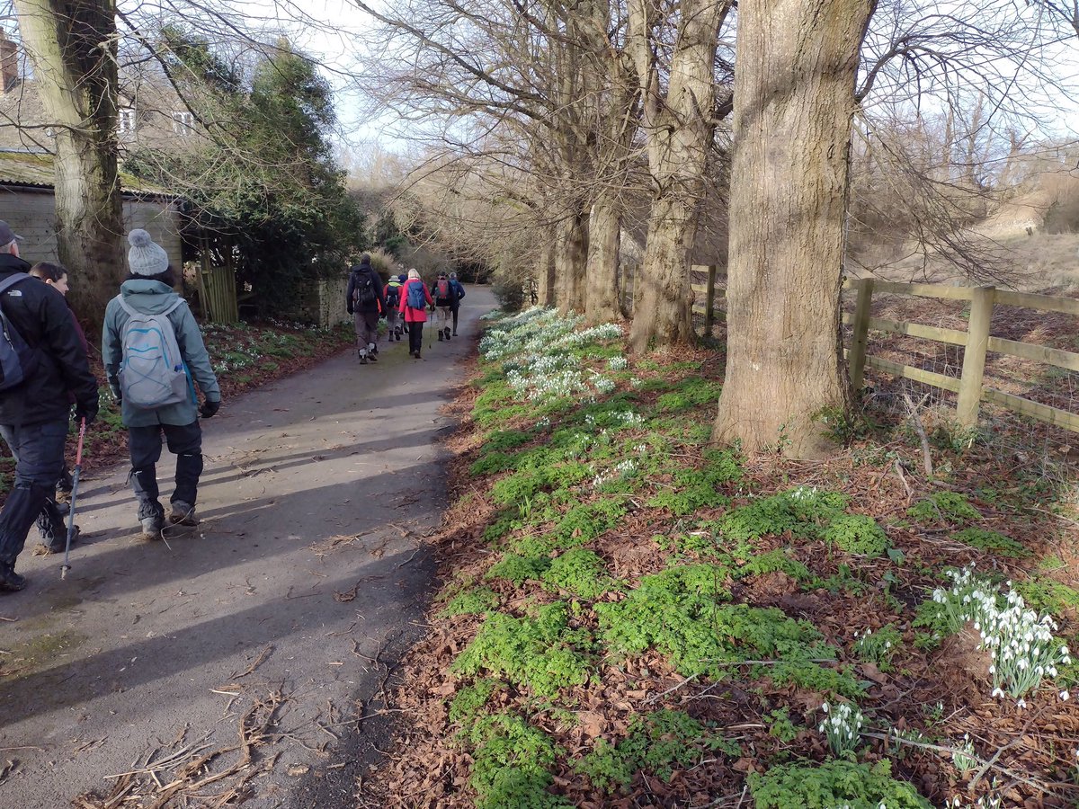 Oxon Weekend Walkers tweet media