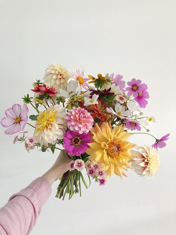 ciceklendirdik's tweet photo. 💐 https://t.co/TkG89azM39