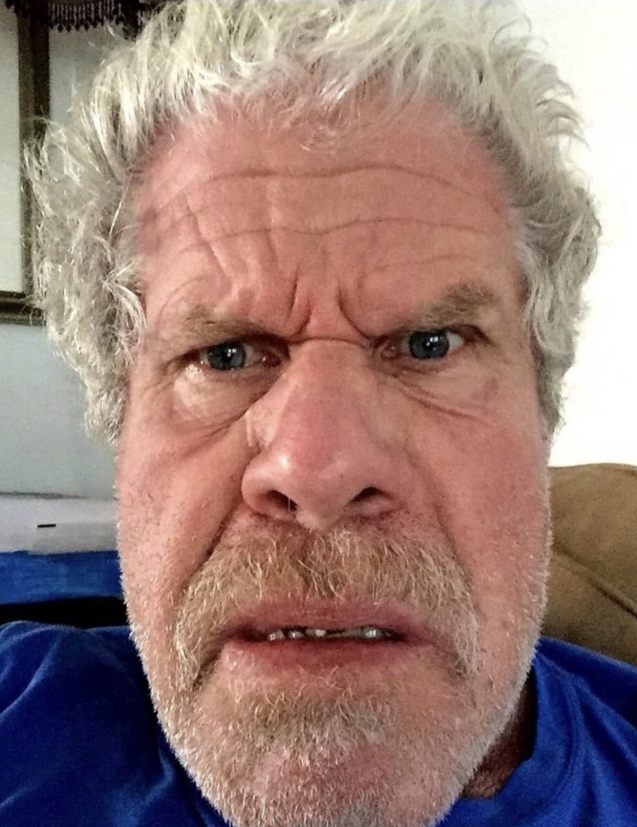 ⭐️ Hollywood actor #RonPerlman supports giving Pornographic books to young school children and attacks conservative moms for wanting to keep these books away from their little kids.
