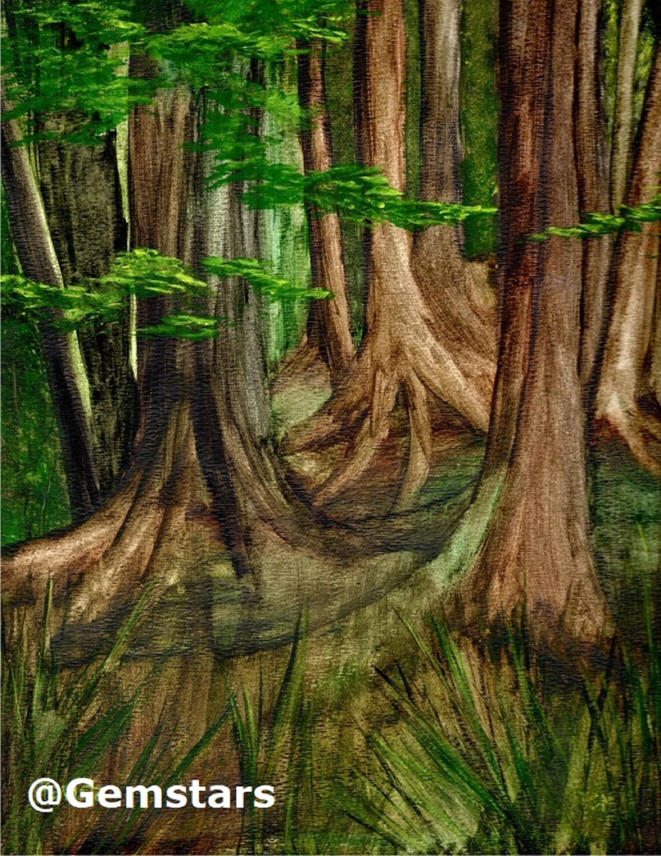 #Gemstar #gemstars #artist #artistsontwitter #woods #forest #nature #trees #watercolorpainting #abstractart #Canada #BritishColumbia #abstract #art #PositiveEnergy #landscape #NatureBeautiful A walk in the Woods watercolor painting.