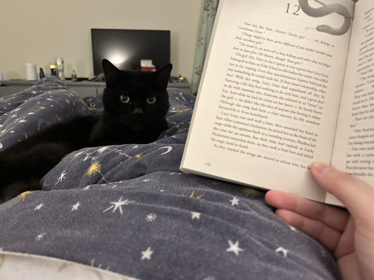 Miss C ✌️ (@classofknights) on Twitter photo Just a cat getting some peace whilst his owner is doing the #BooklyReadathon <a href="/getbookly/">Bookly - Make reading a habit</a> Just a cat getting some peace whilst his owner is doing the #BooklyReadathon <a href="/getbookly/">Bookly - Make reading a habit</a>