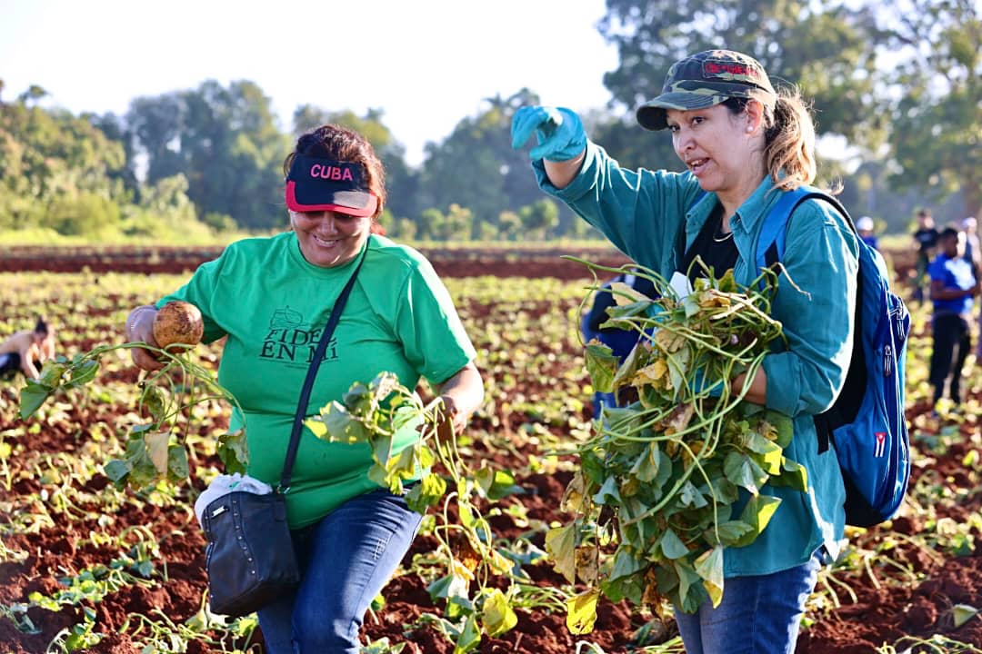 Porque la mejor manera de decir es hacer, hoy nos sumamos con los muchachos de la <a href="/UJCdeCuba/">UJC de Cuba</a>
 y  trabajadores de nuestro 
<a href="/PartidoPCC/">Partido Comunista de Cuba</a>, a la jornada productiva que este domingo se realizó en todo el país. #GenteQueSuma esfuerzos para vencer.