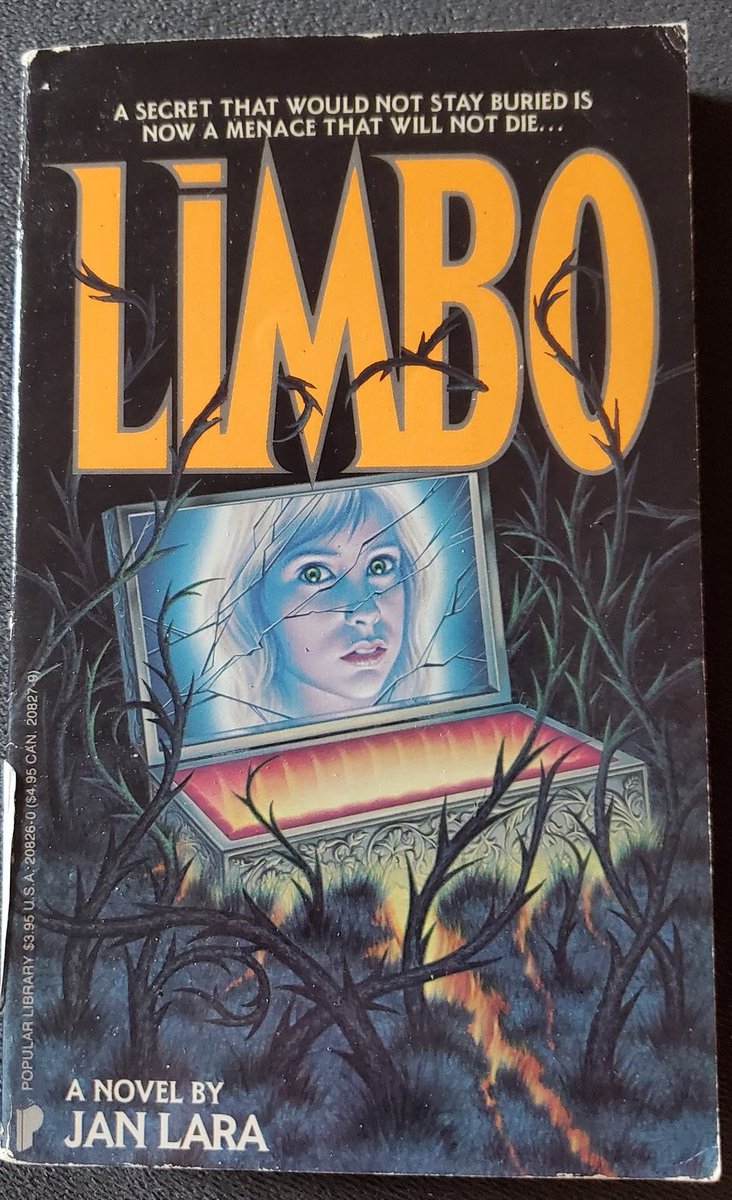 Limbo (1988) by Jan Lara, a pen name of Michael T. Hinkemeyer, a forgotten author who wrote seven horror novels, from 1975 to 1990.
Very interesting novel.