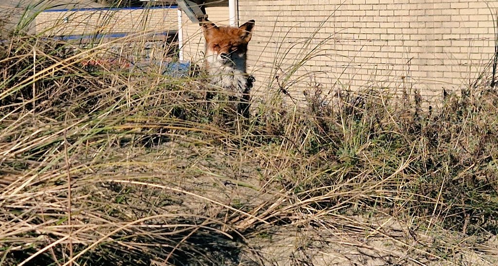 Mick Finnegan tweet media