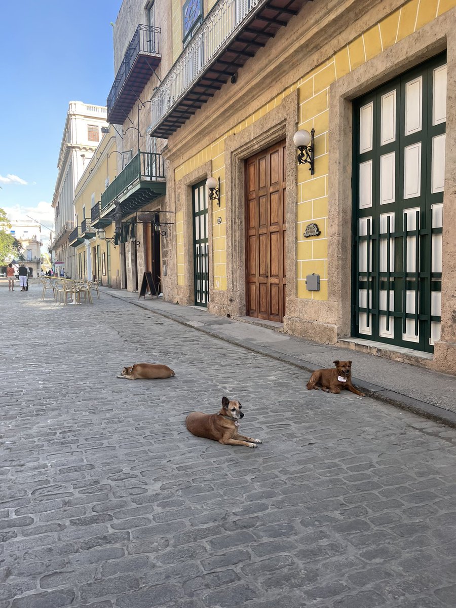 Body of Light tweet media