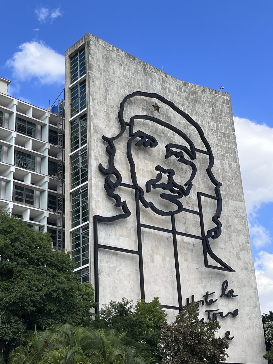 Body of Light tweet media