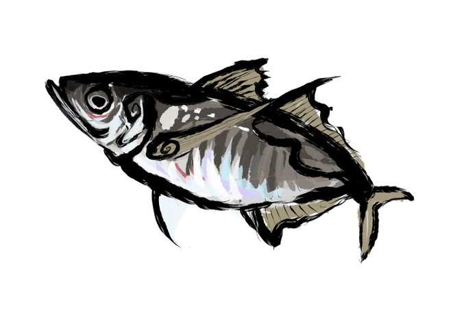 クリスタで描いたアジ 墨絵はもうちょい調整必要だねぇ