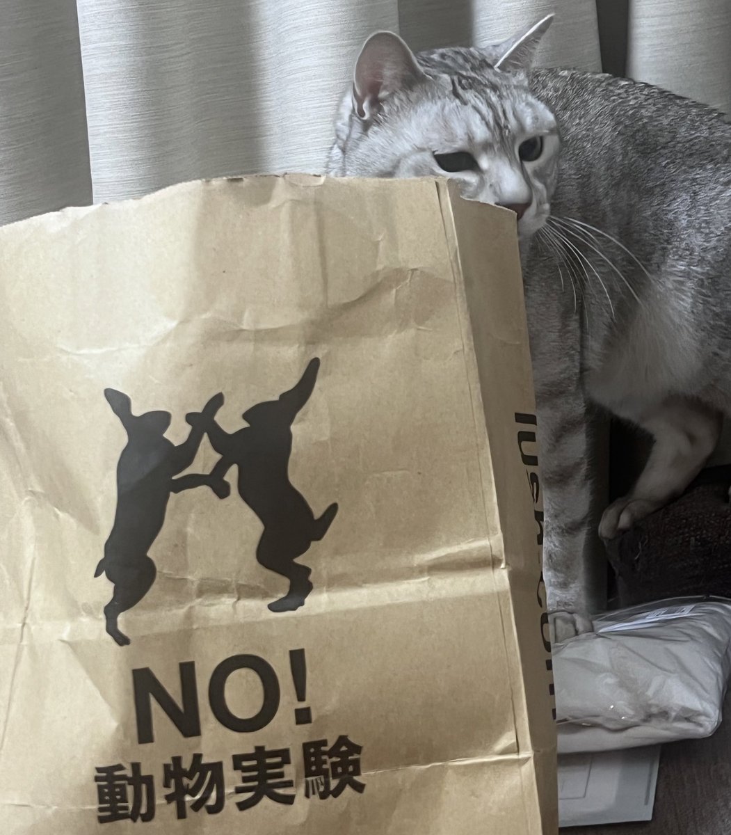 No！動物実験