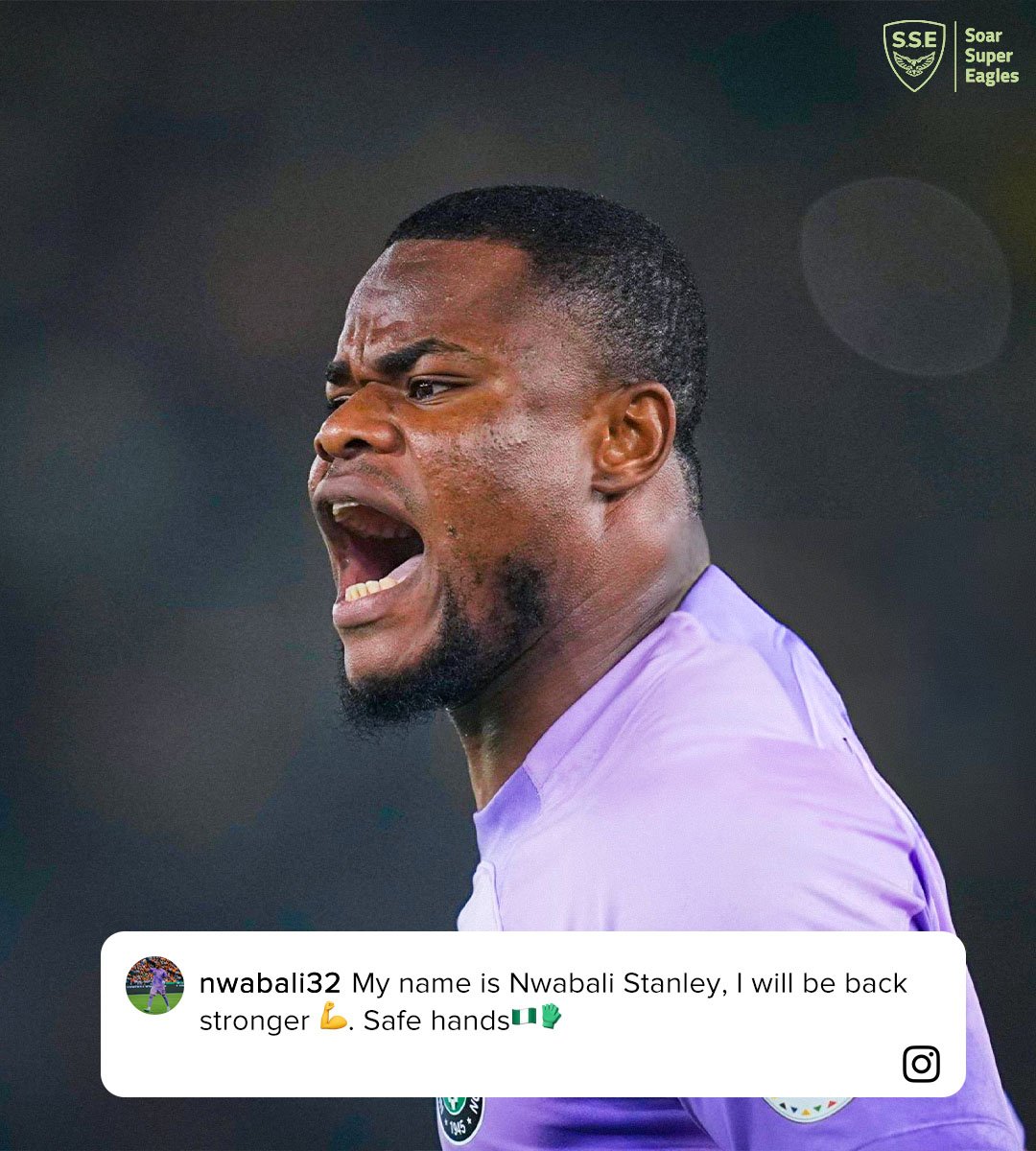 Queen Bee 👑 🐝 tweet media