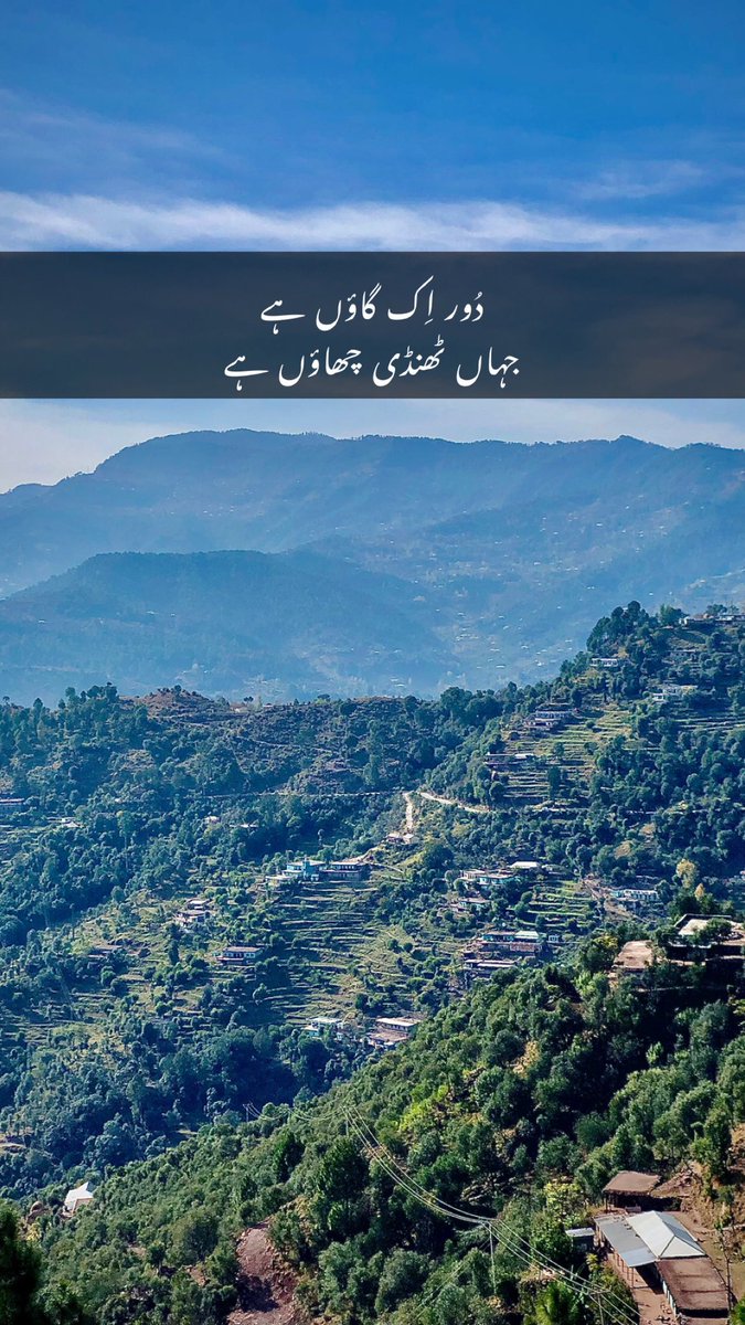 Muhammad Zeeshan tweet media