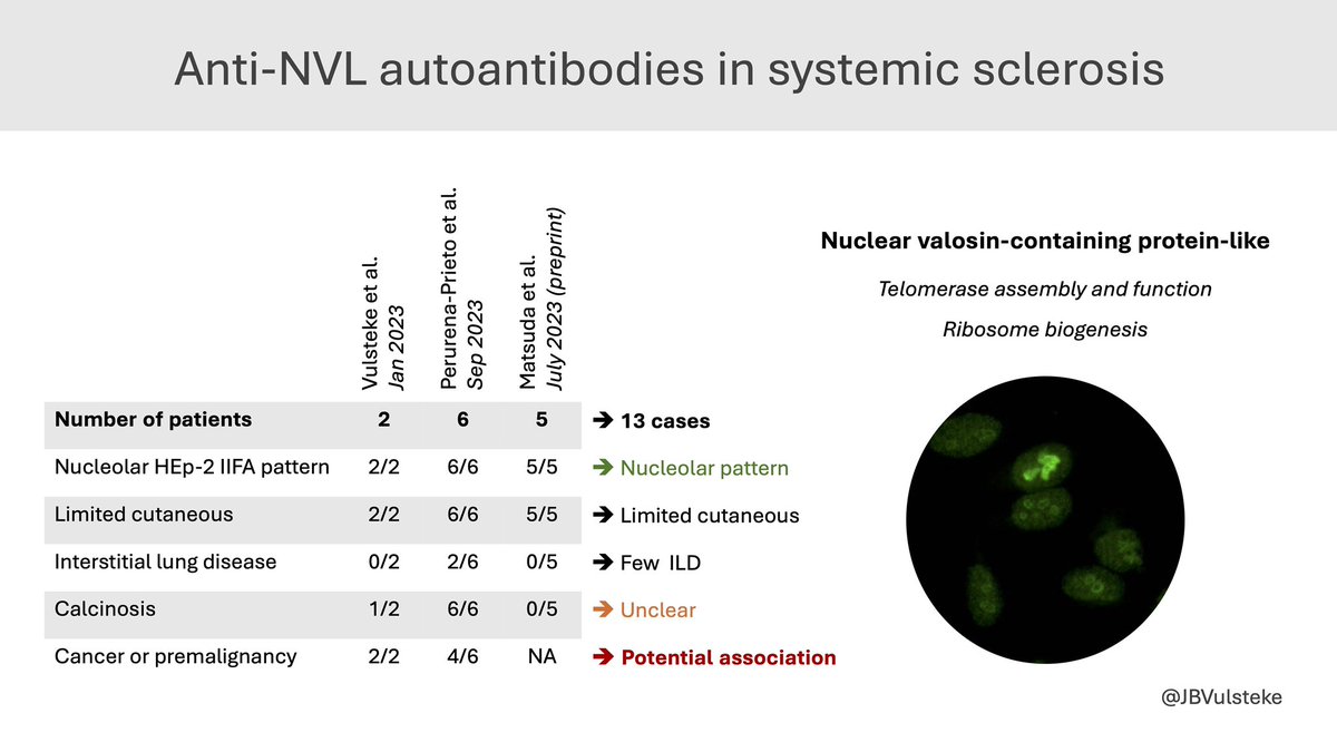 Last year we discovered anti-NVL autoantibodies in #systemicsclerosis or #scleroderma. 

Now 2️⃣ more groups have found persons with these autoantibodies.

What do we know thus far?
⭐️ Nucleolar pattern
⭐️ Limited cutaneous involvement
⁉️ Potentially associated with cancer?