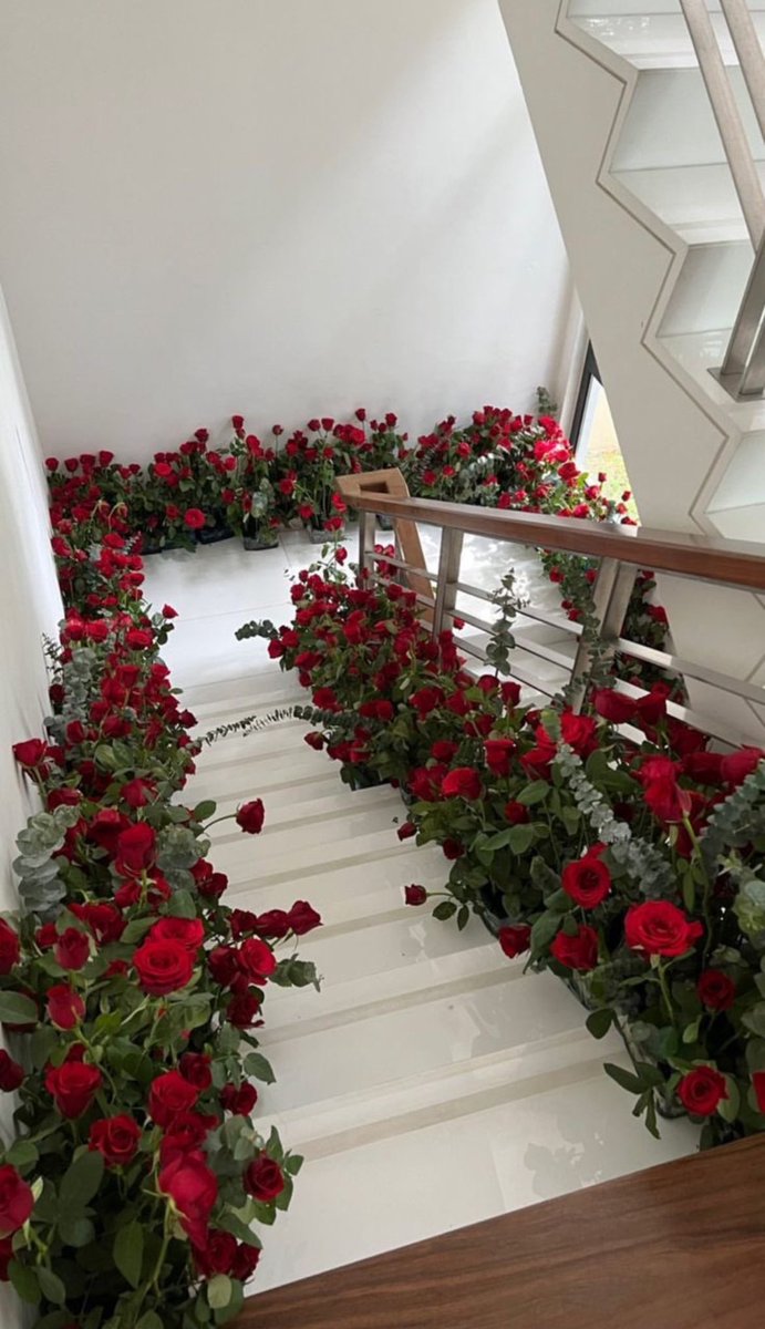 i3Moment's tweet photo. Red roses https://t.co/zFae1NjJ5n