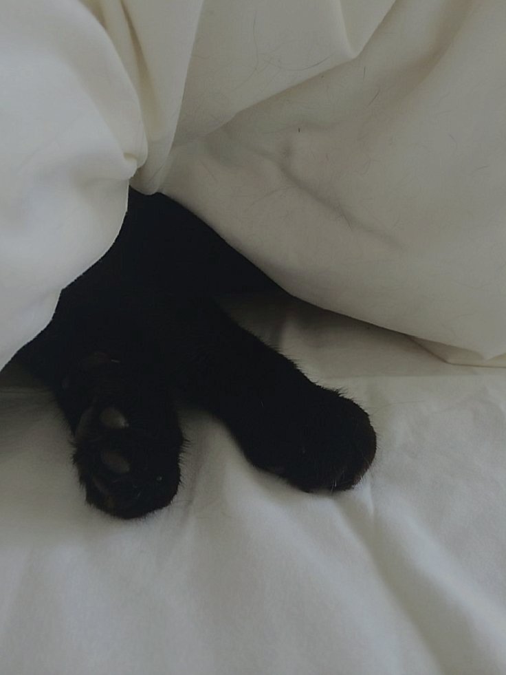 ssupdrmn's tweet image. ︎︎ ︎

                    jaó.⠀° sns update !
                    "Good night, tl!"
︎︎︎ ︎
︎︎ ︎