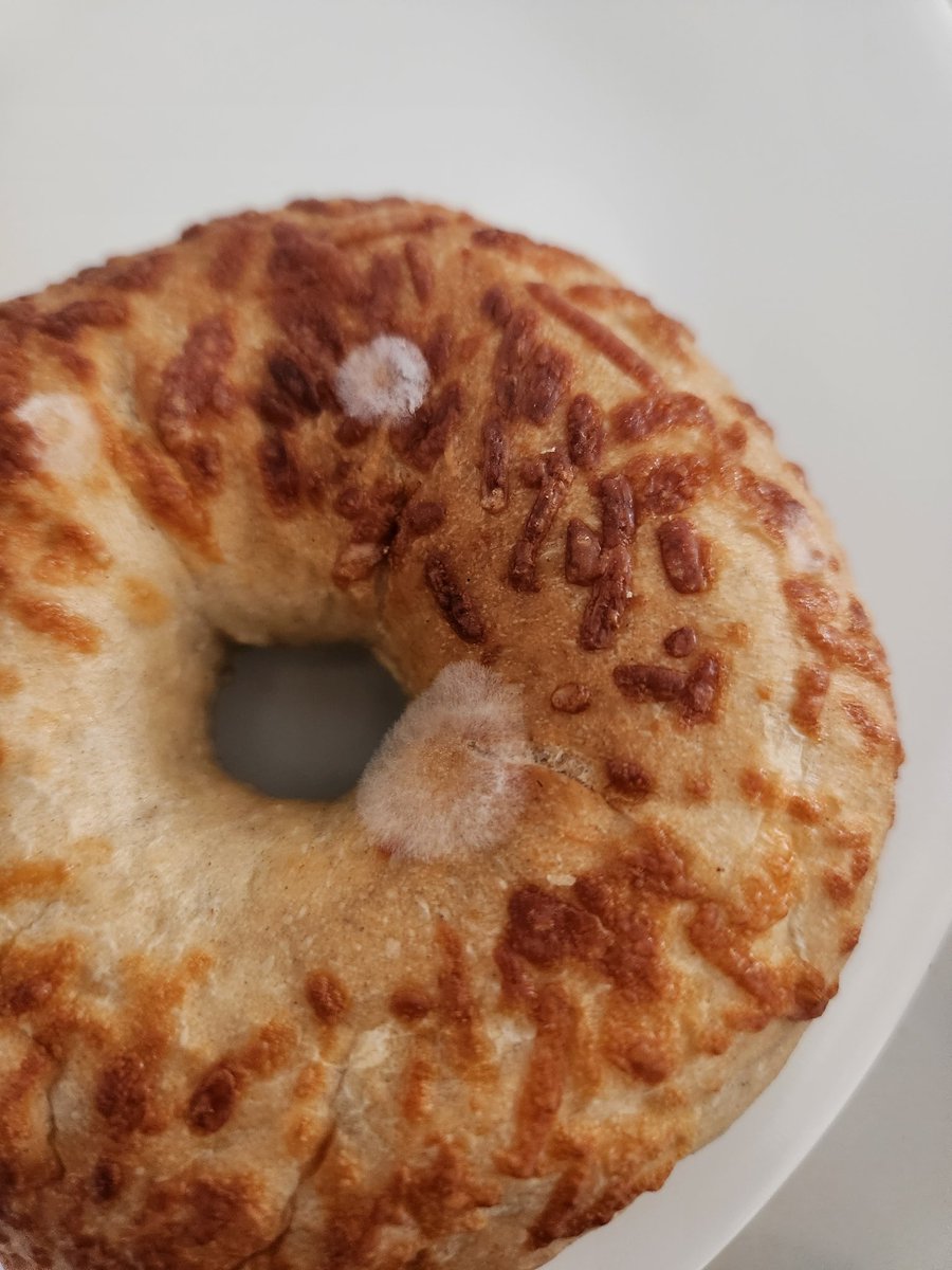 Fernando_Rey's tweet photo. @HEB qué pasa con tu Calidad? Otra vez bagels nuevos ya con hongos... y caducan el 17 de Febrero, no acabaron ni Enero.
Ya como Querétaro los a recibido bien, ya se dan el lujo de darnos porquería https://t.co/JmiI0Simgg
