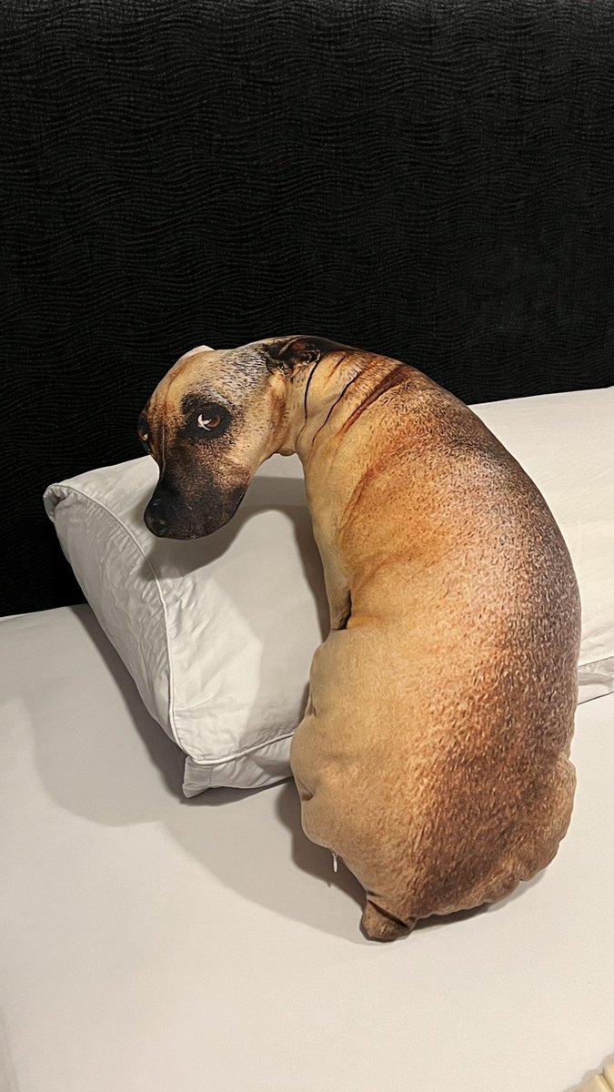 เป็นตุ๊กตาที่อาภัพที่สุดในบ้านแล้ว อยู่ข้างล่างก็ไม่ได้โดนยัยขุนเกลียด พี่หนูกี้กลัว เอามาไว้ห้องนอนแฟนก็บอกว่าเห็นแล้วไม่สบายใจ เดินไปมุมไหนก็เหมือนโดนมองอยู่ ไว้บนรถก็จะทำหัวใจวายหลายครั้งนึกว่ามีคนนั่งเบาะหลัง